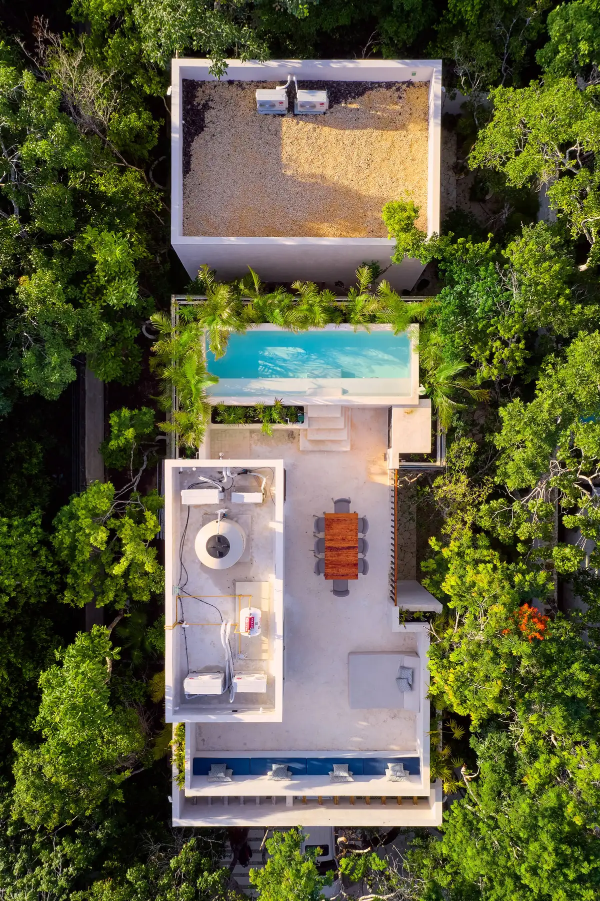 Casa Thomas rooftop terrace from above, with the pool edged with palms, a dining table, a daybed and a lounge bench with blue cushions among the treetops